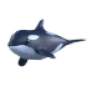 Orca