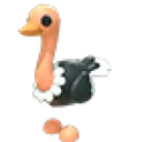 Ostrich