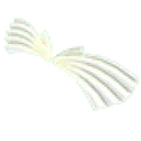 Paper Wings