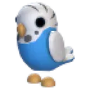 Parakeet