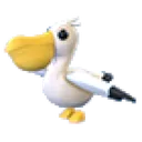 Pelican