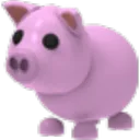 Pig