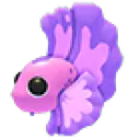 Pink Betta Fish