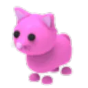 Pink Cat