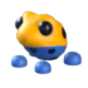 Poison Dart Frog