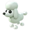 Poodle