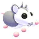 Possum