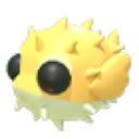 Puffer Fish