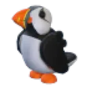 Puffin