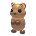 Quokka