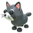 Raccoon