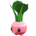 Radish Friend