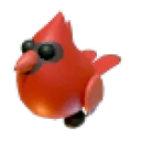 Red Cardinal