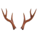Reindeer Antlers