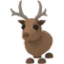 Reindeer