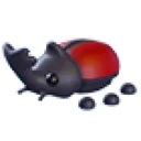 Rhino Beetle