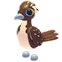 Roadrunner