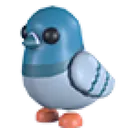 Rock Pigeon