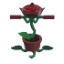 Rose Pogo