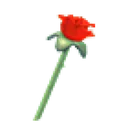 Rose Throw Toy