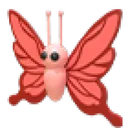 Scarlet Butterfly