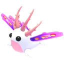 Sea Slug