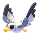 Seagull