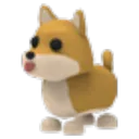 Shiba Inu