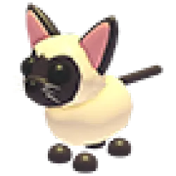 Siamese Cat