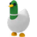 Silly Duck