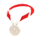 Silver Medal