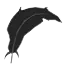 Slimingo Feather Teleporter