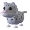 Snow Leopard
