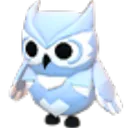 Snow Owl