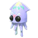 Squid