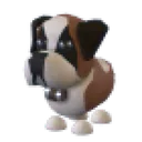 St Bernard