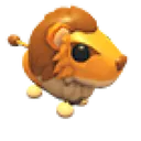 Steppe Lion