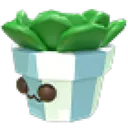 Succulent Plush