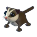Sugar Glider