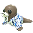 Summer Walrus