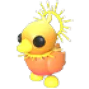 Sunrise Duckling