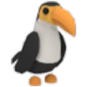 Toucan