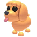 Toy Poodle