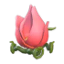 Tulip Stroller
