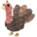 Turkey Plush