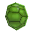 Turtle Shell