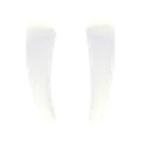 Walrus Tusks