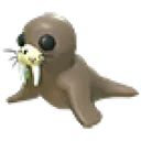 Walrus
