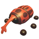Weevil