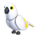 White Amazon